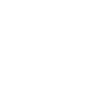 LinkedIn Icon